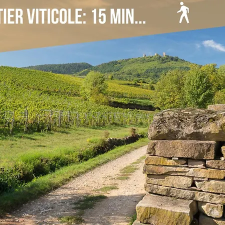 Lecrin Des Vignes Διαμέρισμα Eguisheim