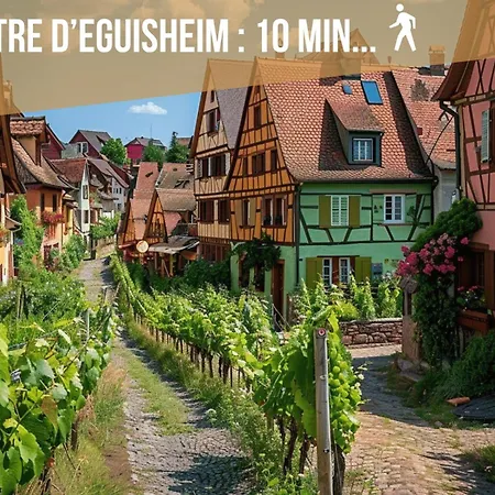 Lecrin Des Vignes Eguisheim