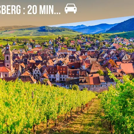 Lecrin Des Vignes Eguisheim